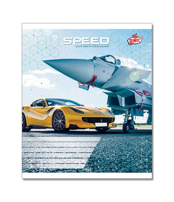 Caiet 48 foi, linie/patratică 