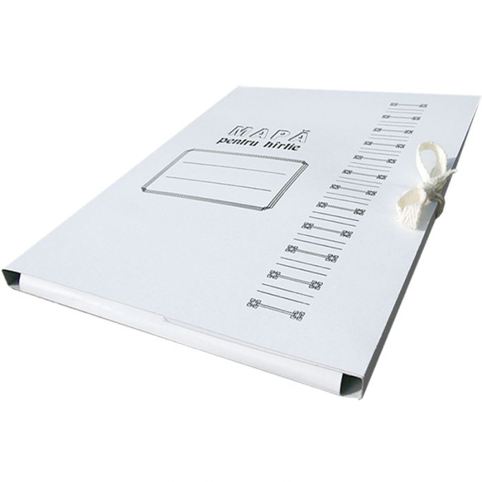 Папка картонная на завязках