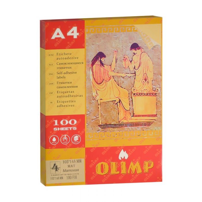 Etichete autoadezive A4, 4 buc., 105*148mm (100 foi)